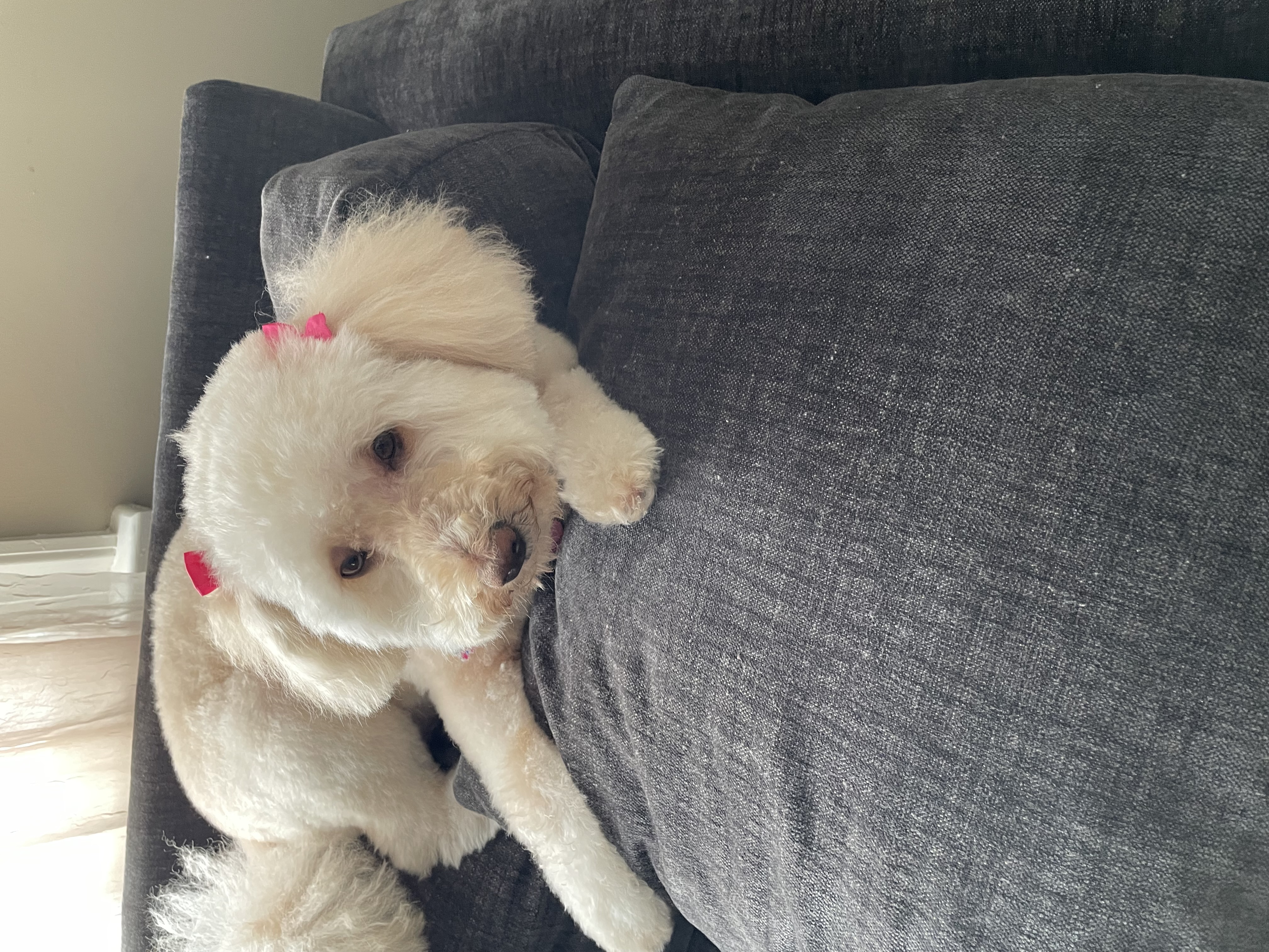 Duffy